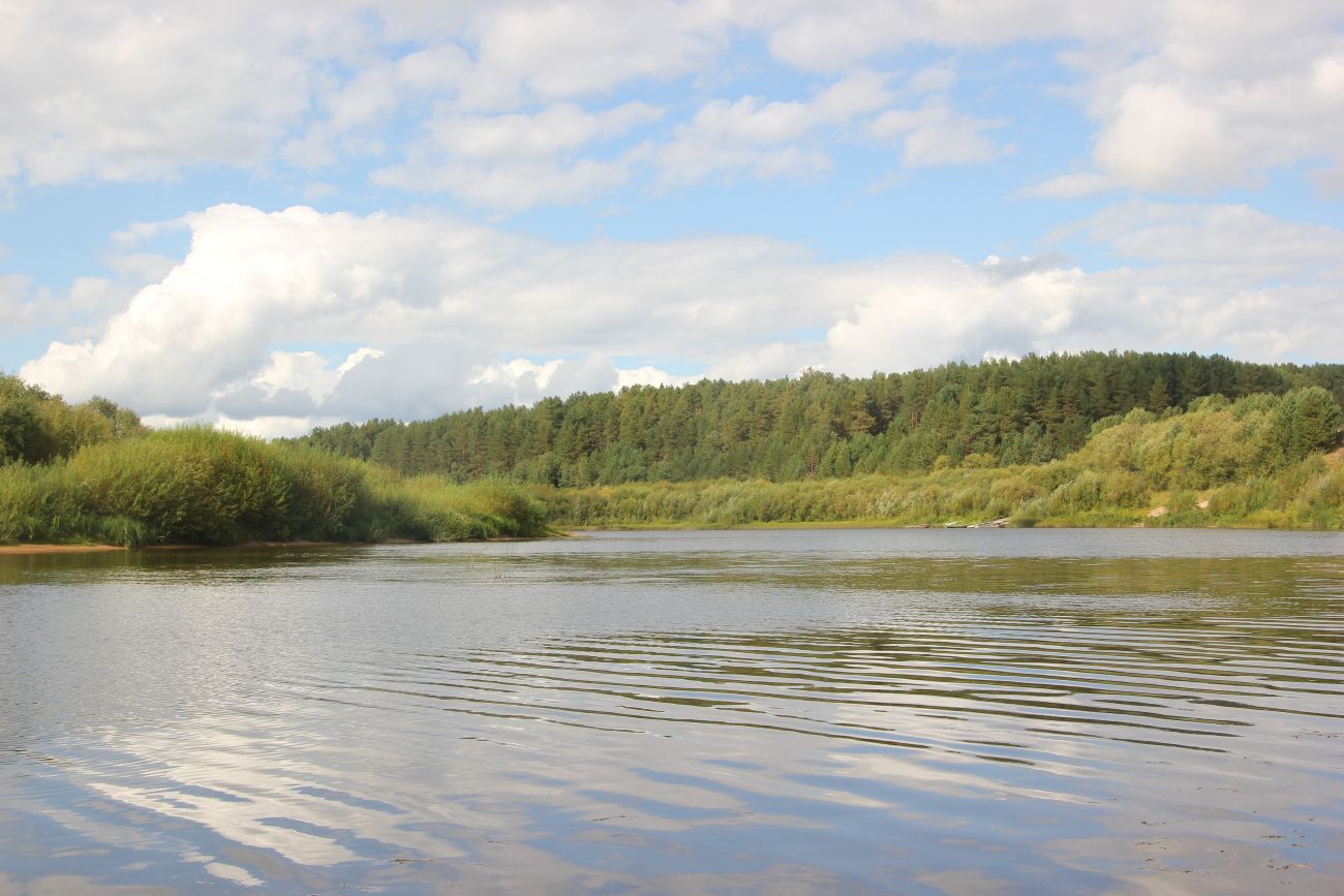 Урочище Верхний Кокиль, image of landscape/habitat.