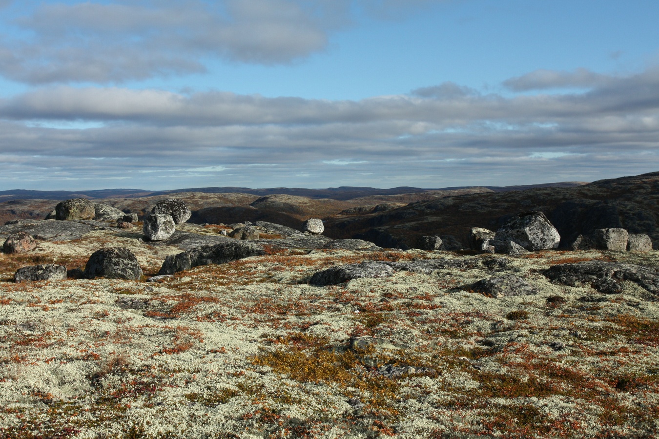 Высота 314.9, image of landscape/habitat.