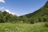 Image of landscape