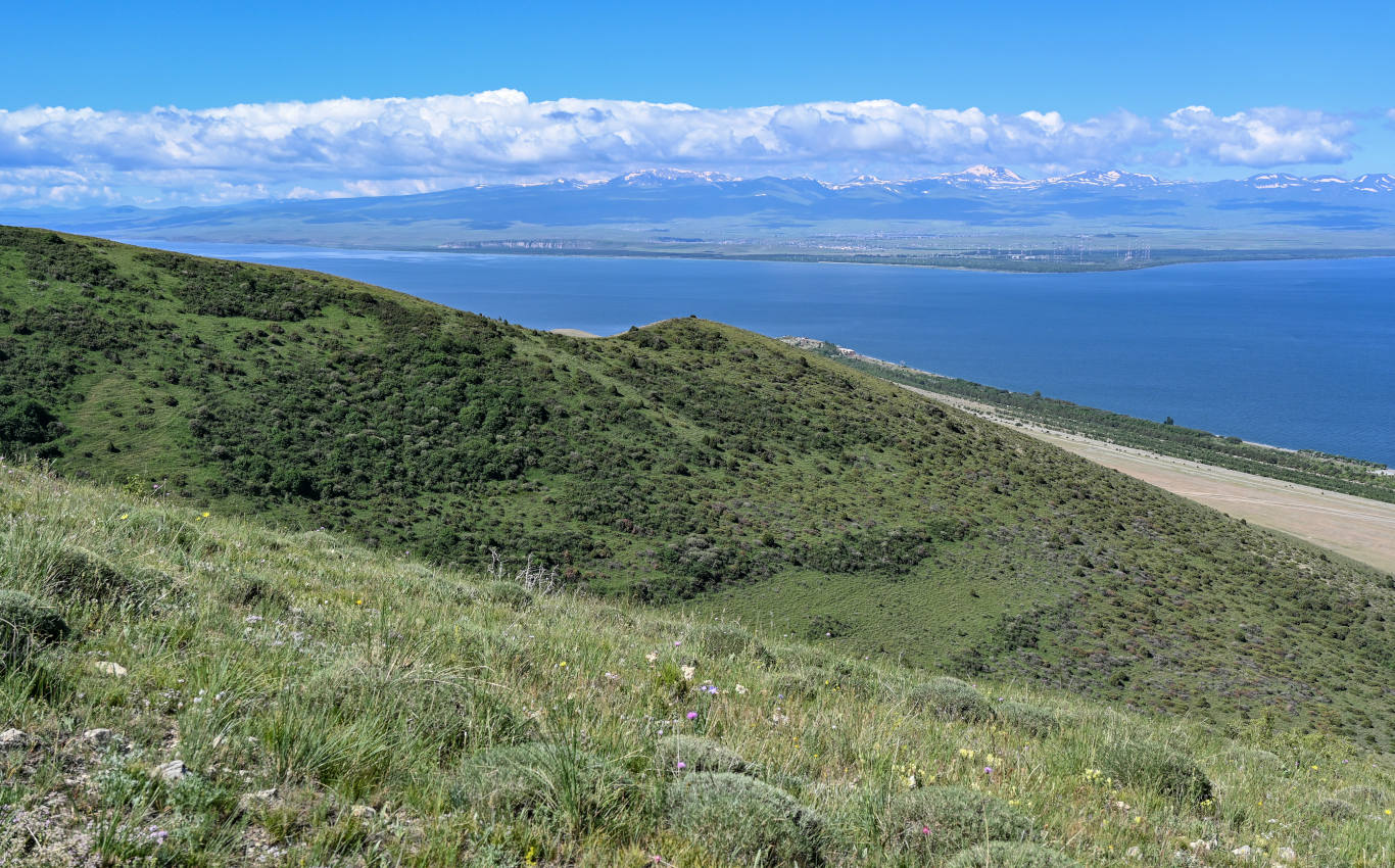 Гора Артаниш, изображение ландшафта.