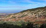 Image of landscape