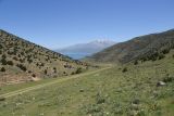 Image of landscape