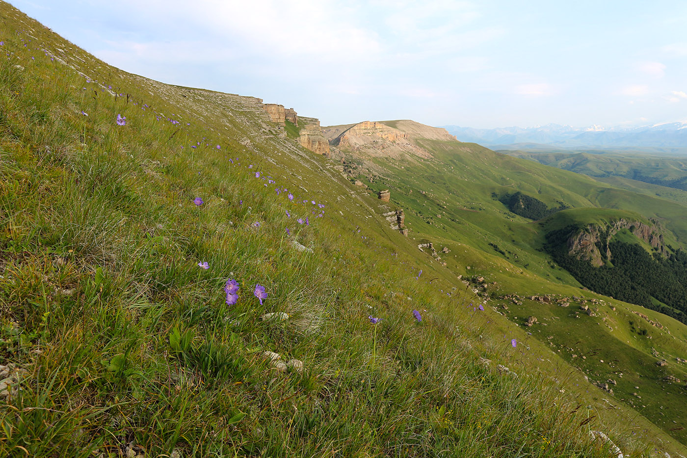 Большой Бермамыт, image of landscape/habitat.