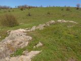 Image of landscape