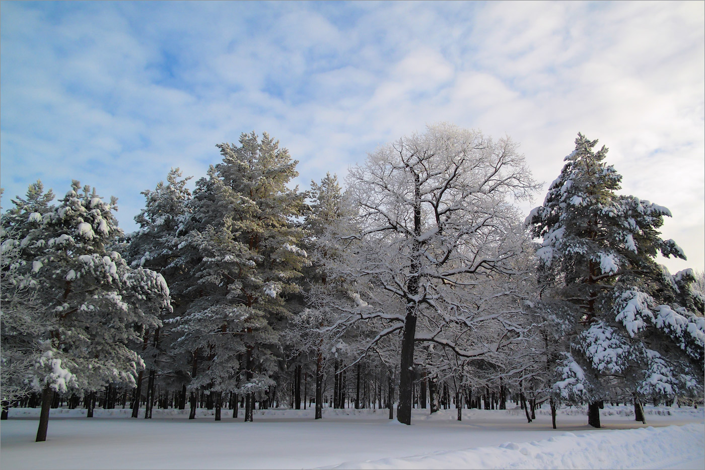 Петергоф, image of landscape/habitat.