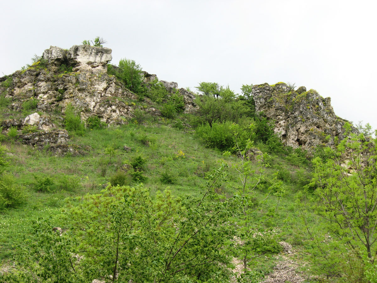 Грушевцы, изображение ландшафта.