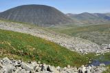 Перевал Черби, image of landscape/habitat.