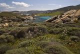 Image of landscape