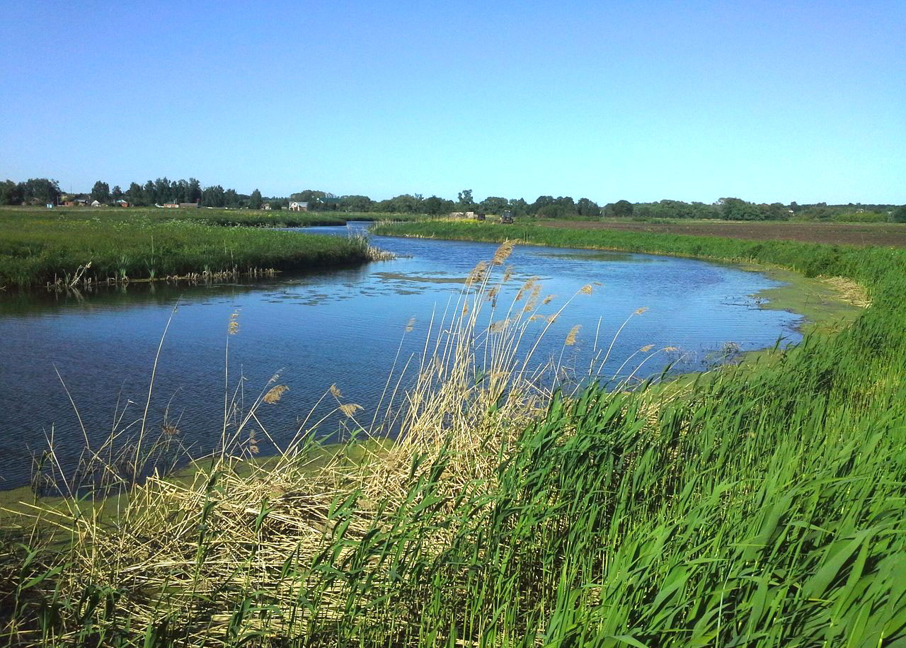 Река Ройка, image of landscape/habitat.