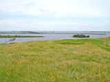 Image of landscape