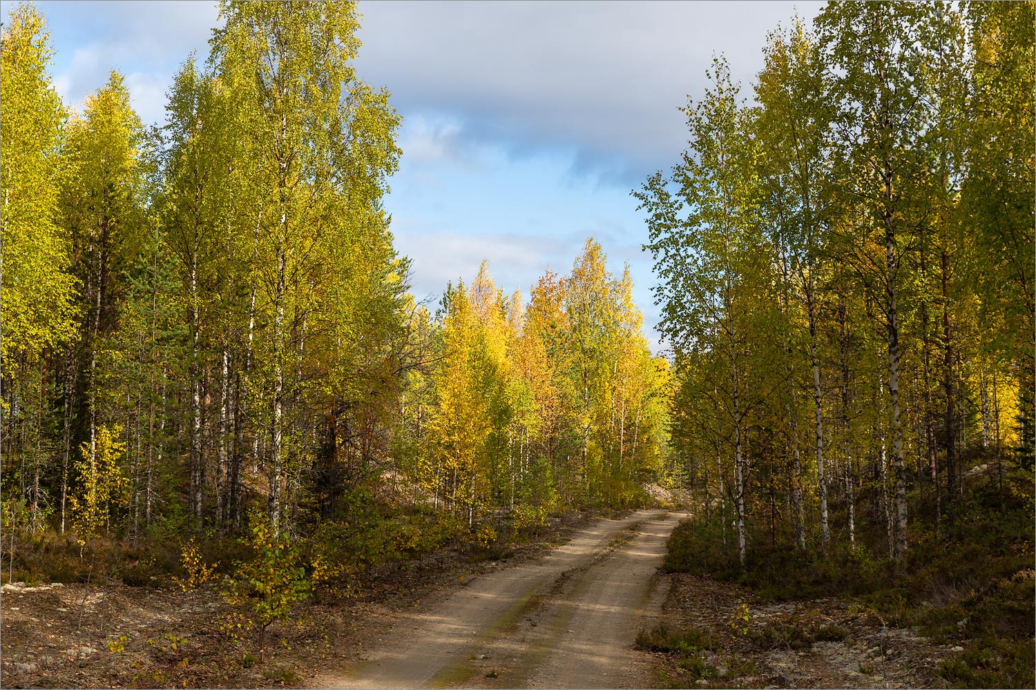 Воттоваара, image of landscape/habitat.