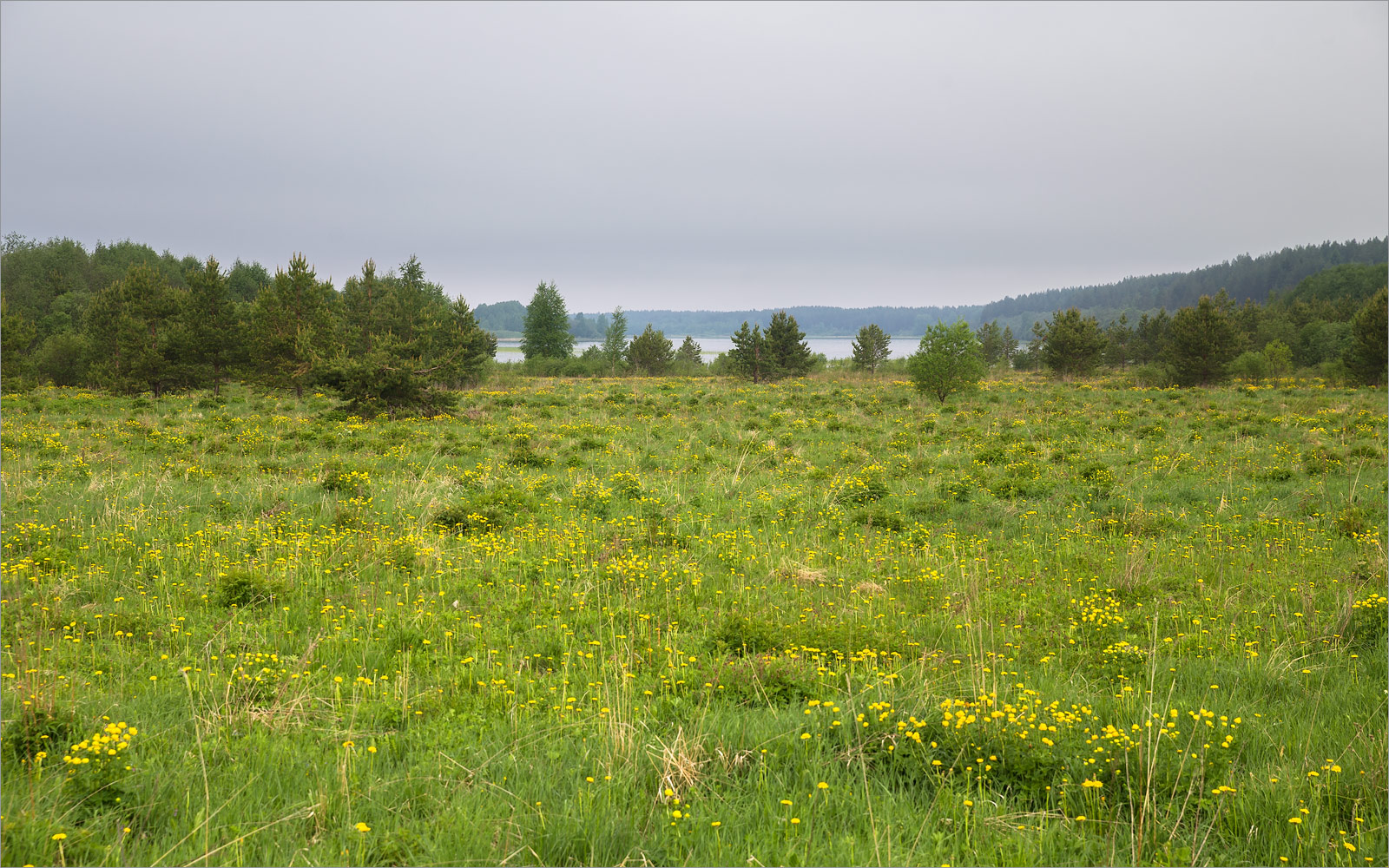 Клим Нос, image of landscape/habitat.