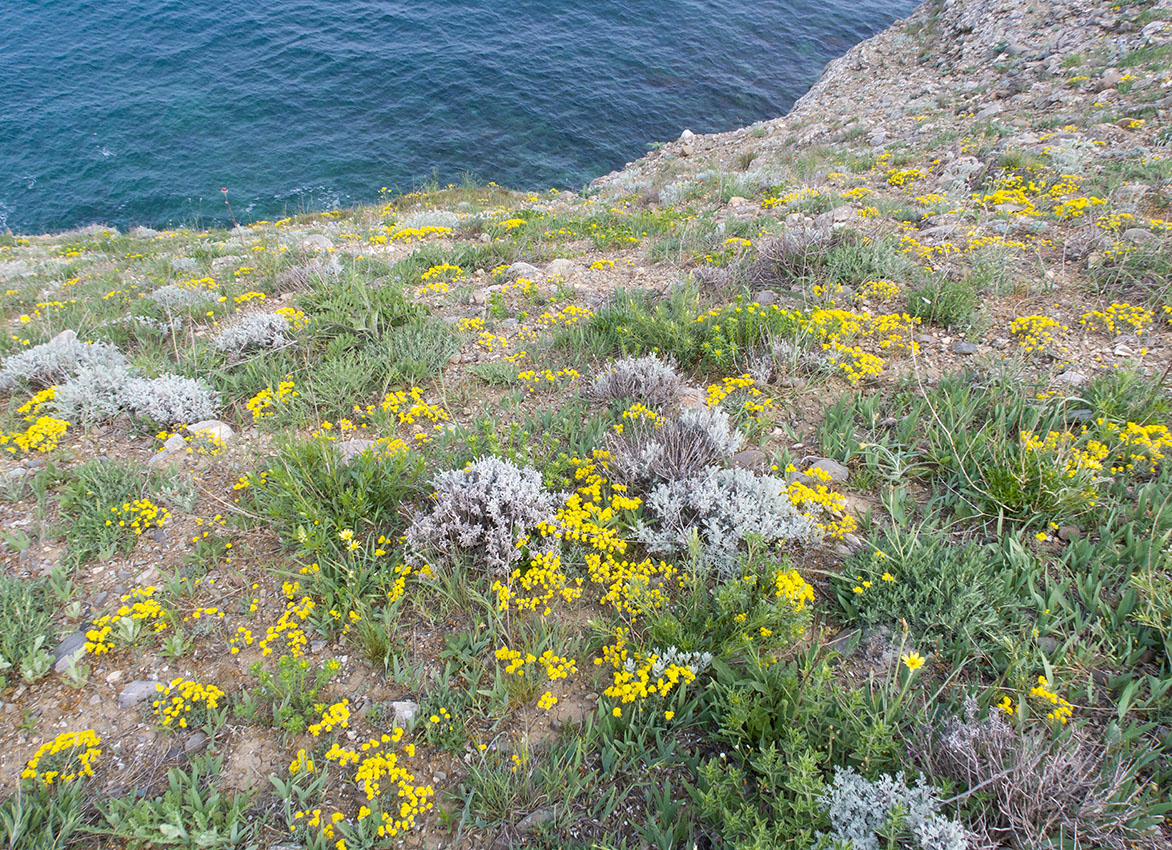 Киик-Атлама, image of landscape/habitat.