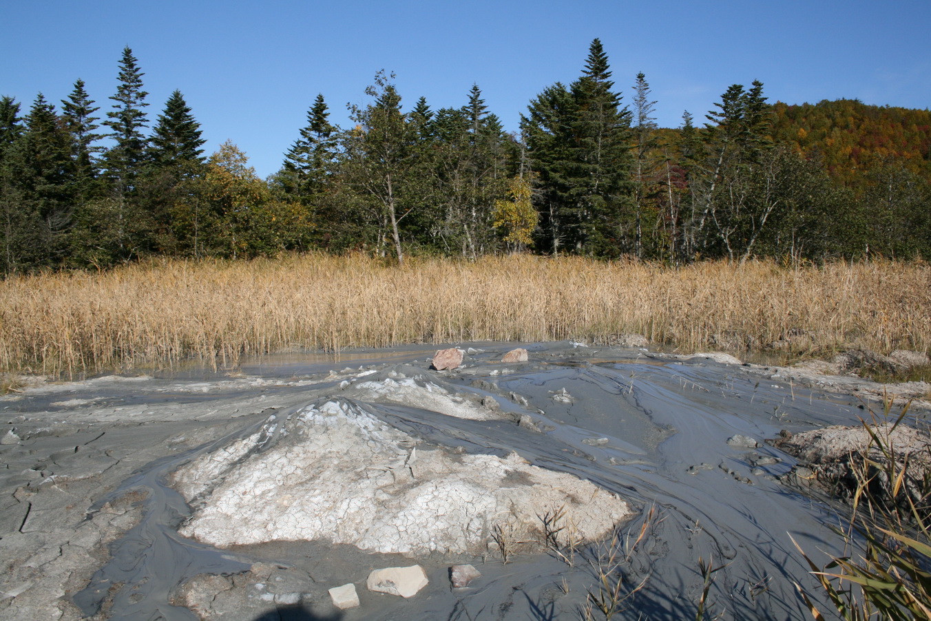 Южно-Сахалинский грязевой вулкан, image of landscape/habitat.