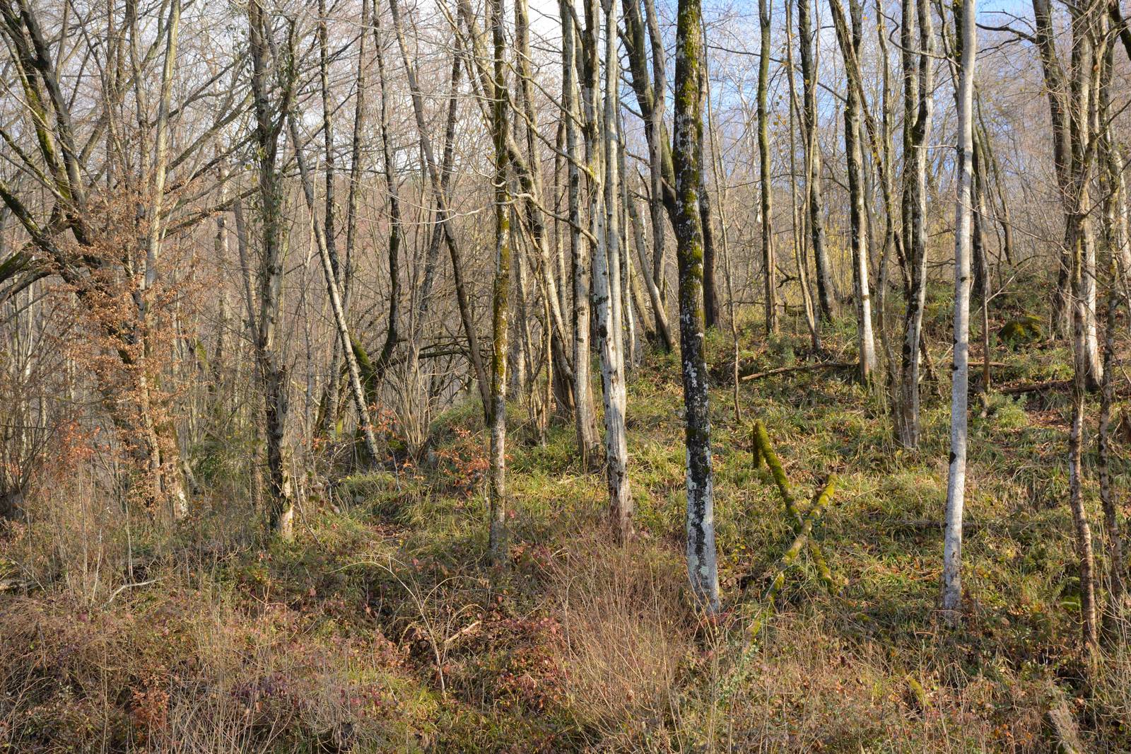 Успенка, image of landscape/habitat.