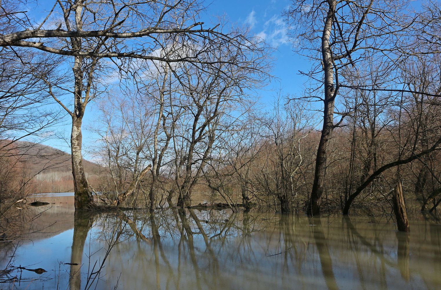 Неберджаевское водохранилище, image of landscape/habitat.