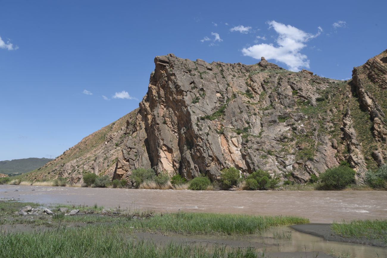 Мост через Аракс, image of landscape/habitat.