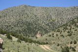 Image of landscape