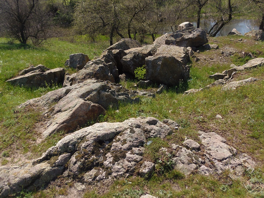 Балка Партизанская, image of landscape/habitat.