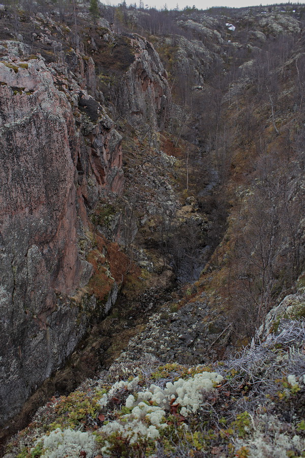 Могильный Ров, image of landscape/habitat.