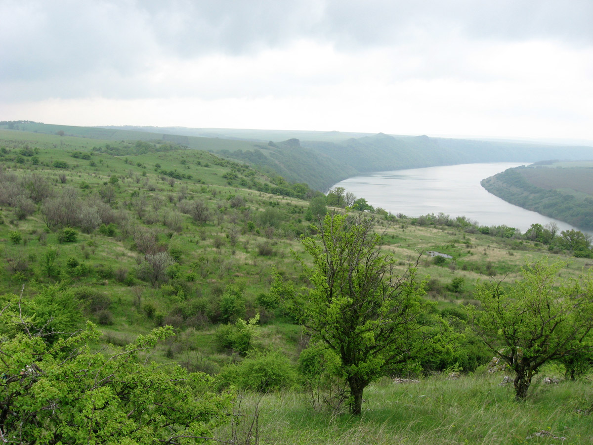 Грушевцы, image of landscape/habitat.