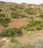 Cabo de Gata, изображение ландшафта.