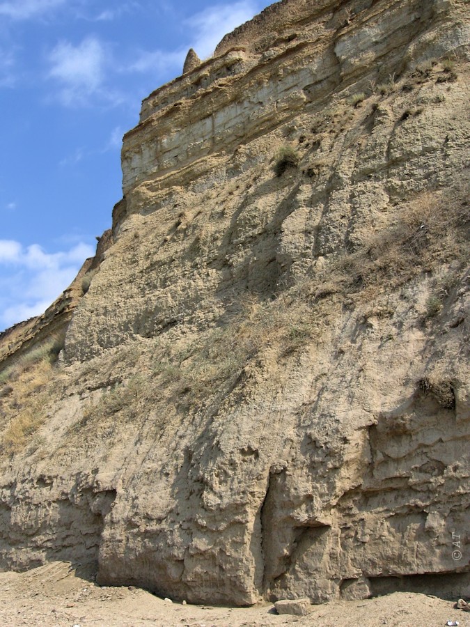 Железный Рог, image of landscape/habitat.