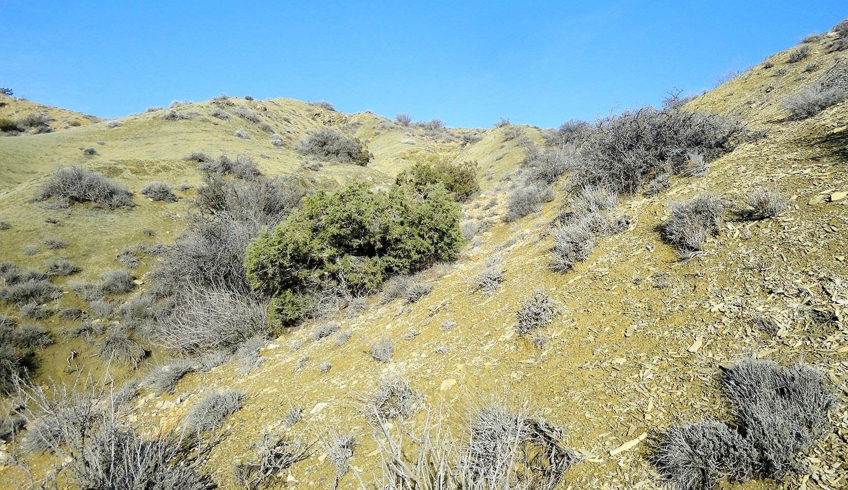 Дуечи, image of landscape/habitat.