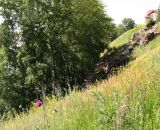 Image of landscape