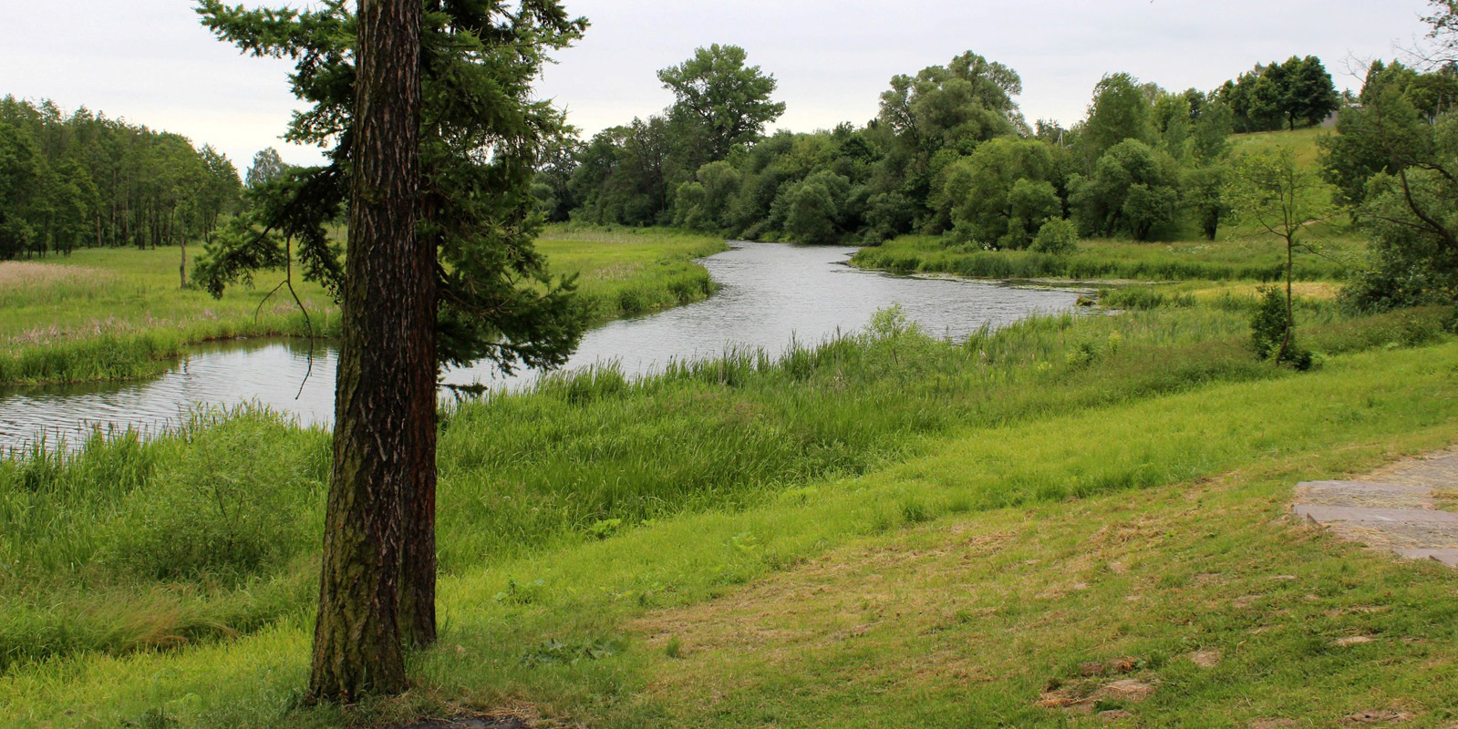 Лошицкий парк, image of landscape/habitat.