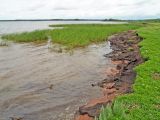 Куйбышевское водохранилище, image of landscape/habitat.