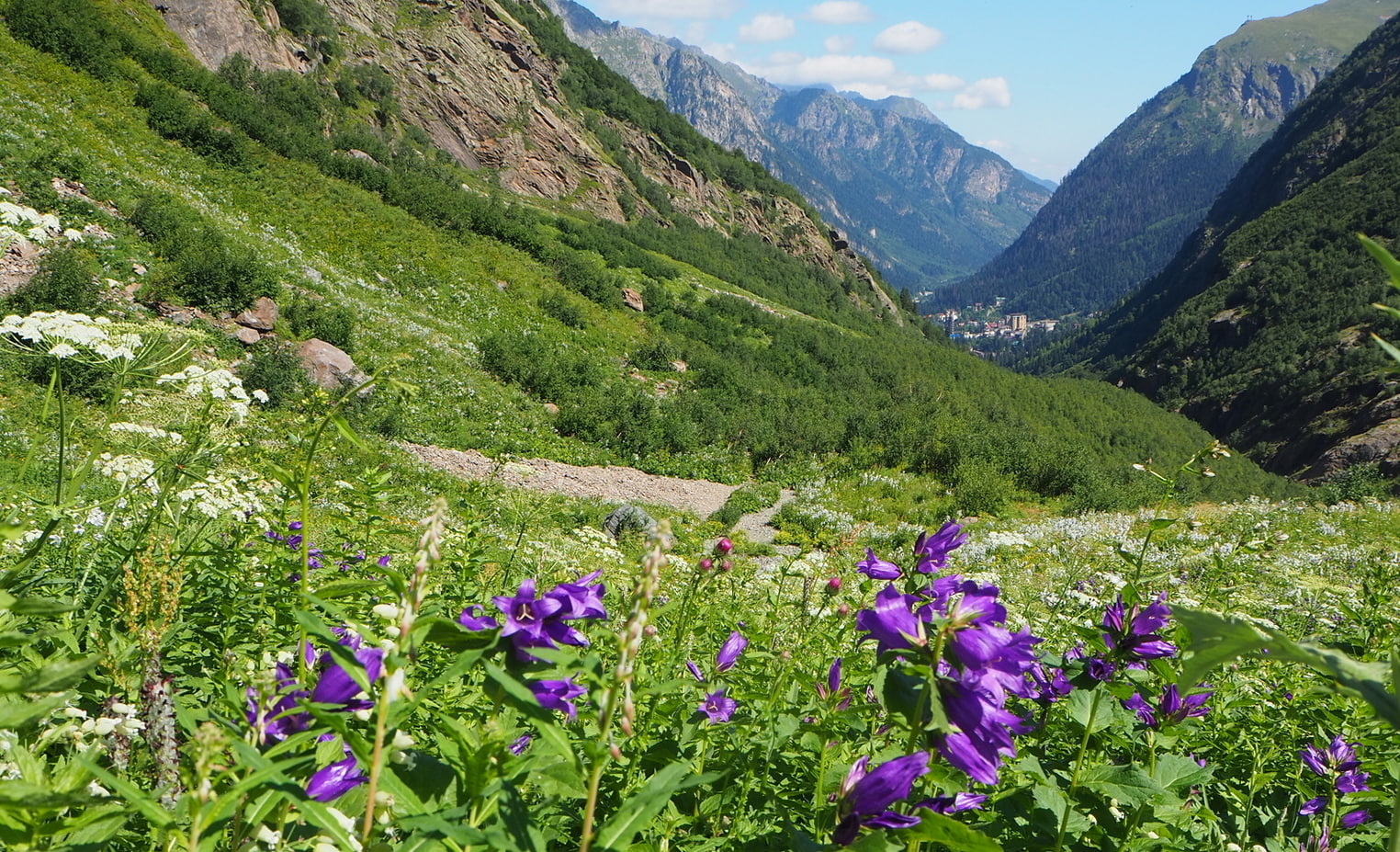 Аманауз, image of landscape/habitat.