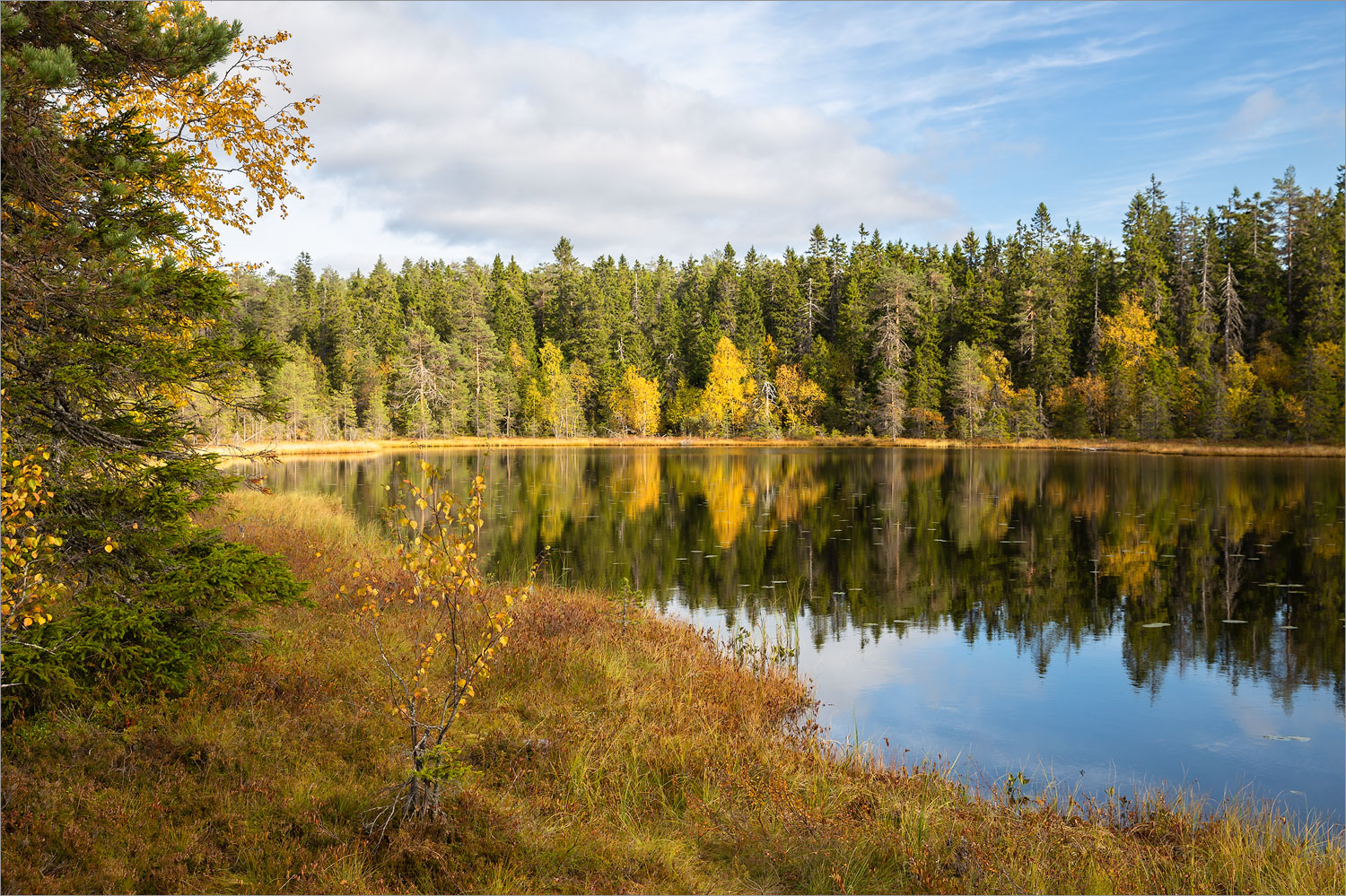 Воттоваара, image of landscape/habitat.