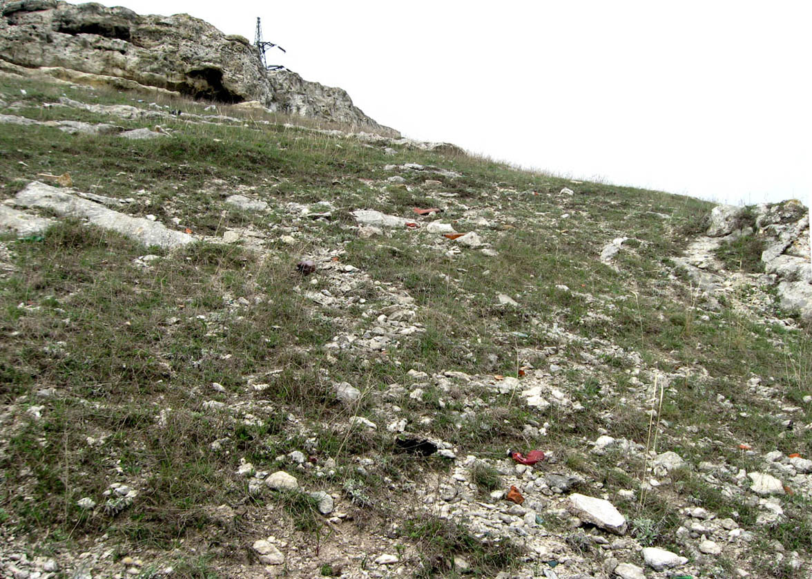 Марьино, image of landscape/habitat.