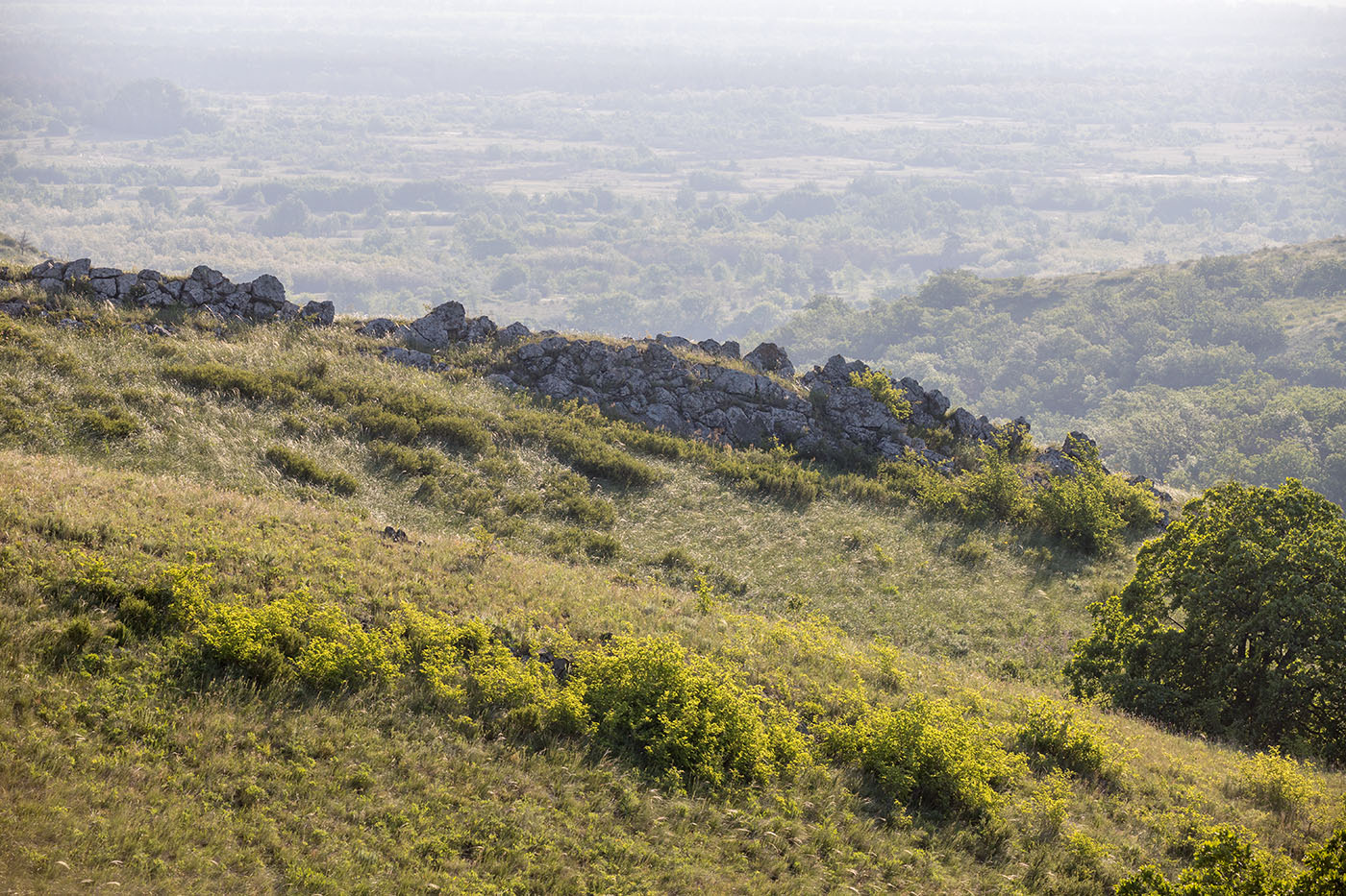 Чёрная балка, image of landscape/habitat.