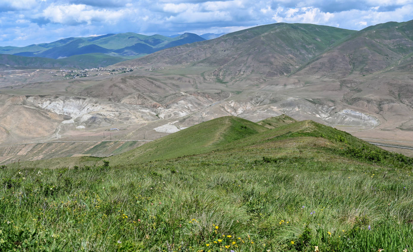 Гора Артаниш, image of landscape/habitat.