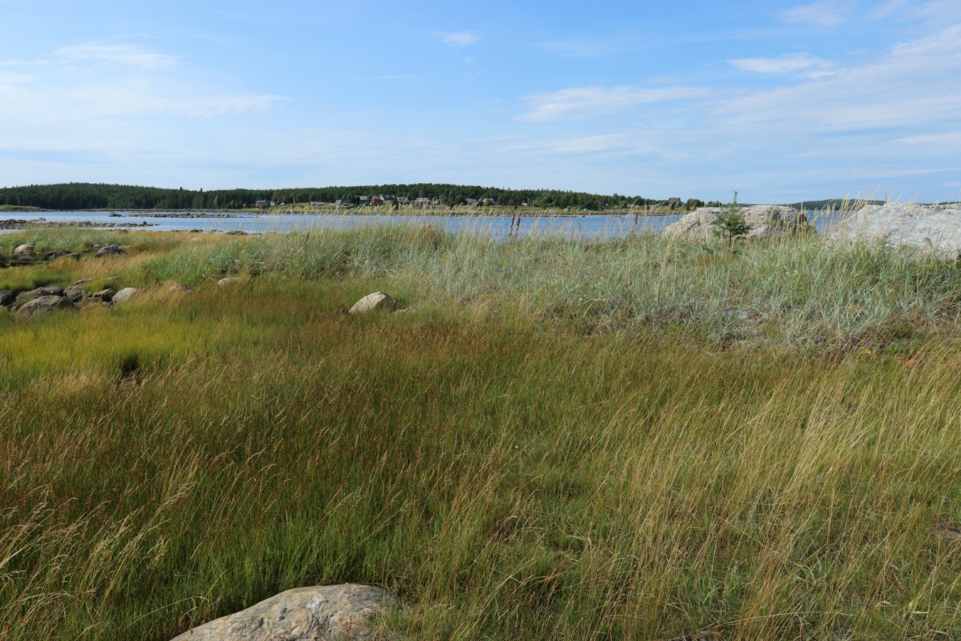 Ковда, image of landscape/habitat.