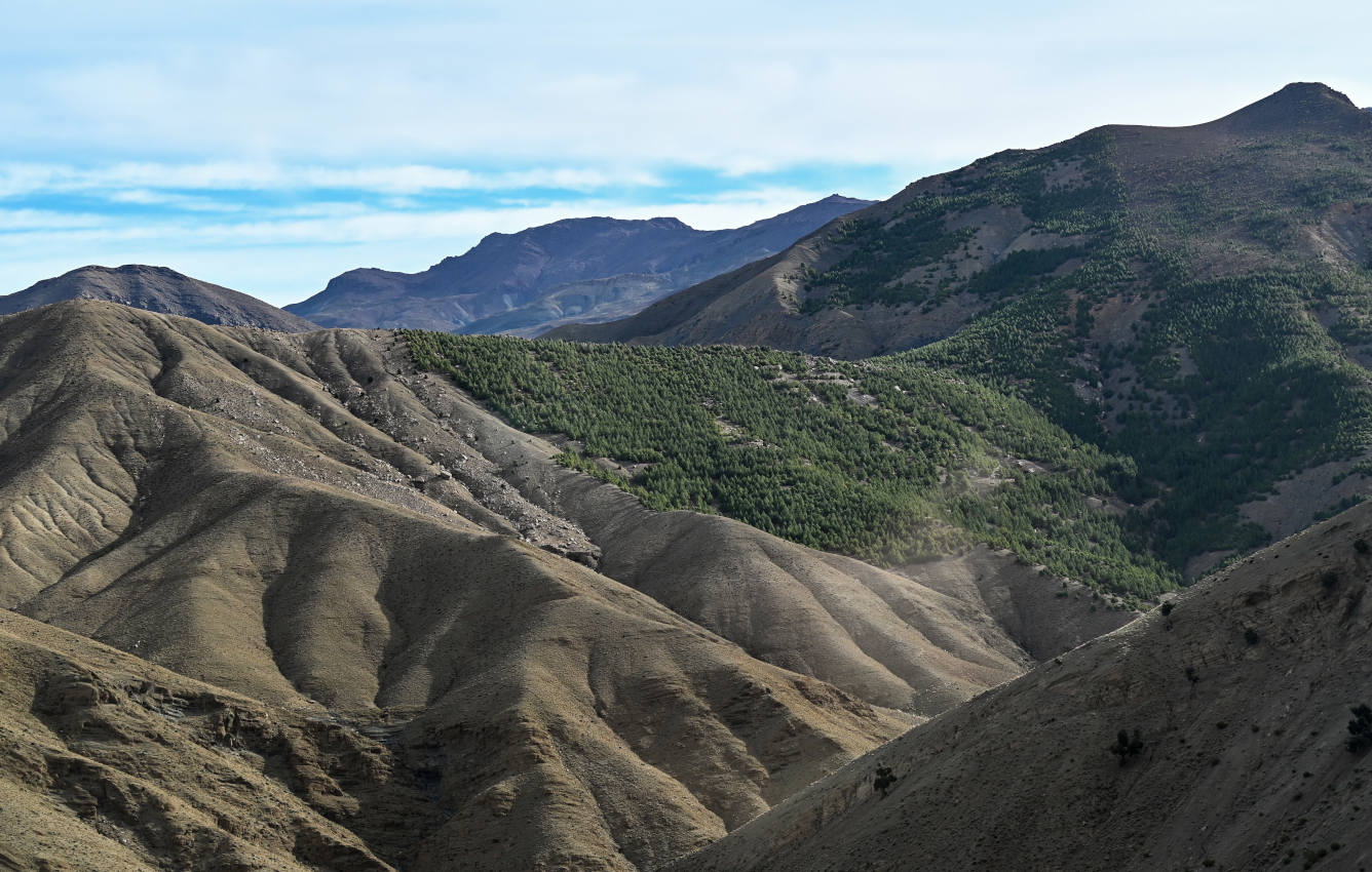 Перевал Тизи-н'Тишка, image of landscape/habitat.
