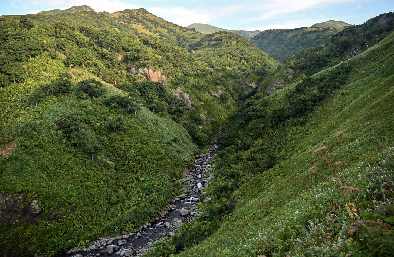 Водопадная, image of landscape/habitat.