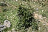 Image of landscape