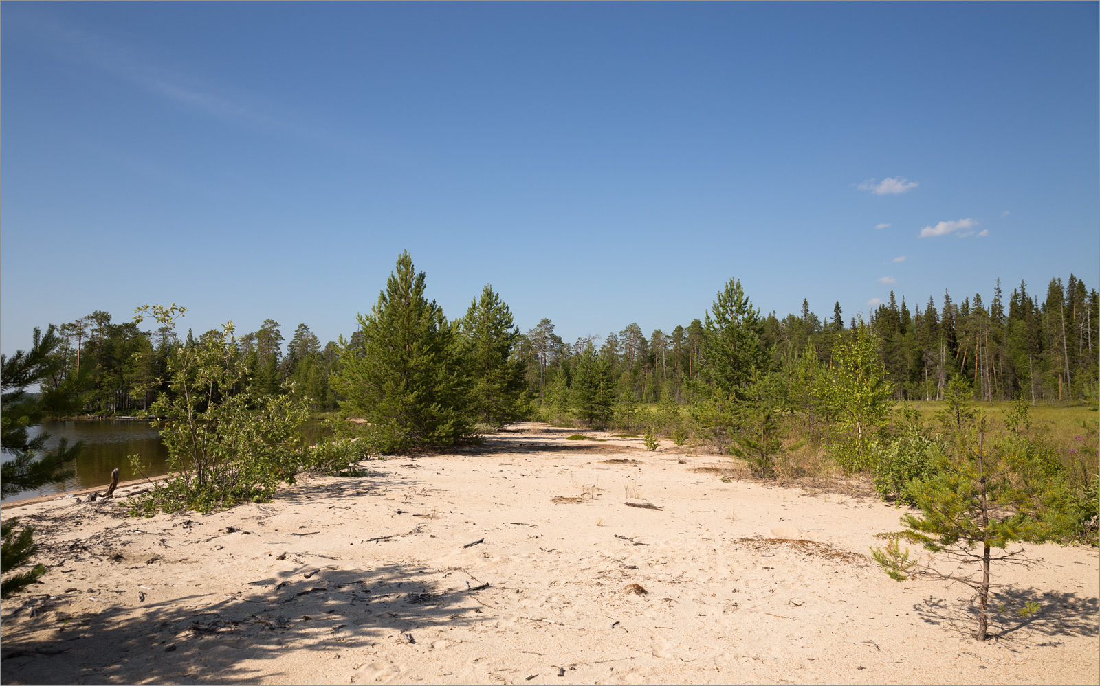 Топозеро, image of landscape/habitat.