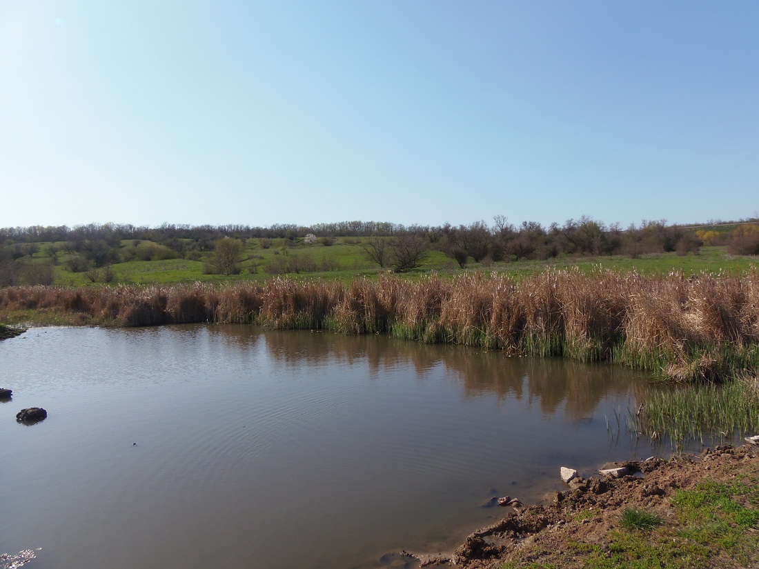 Балка Партизанская, image of landscape/habitat.