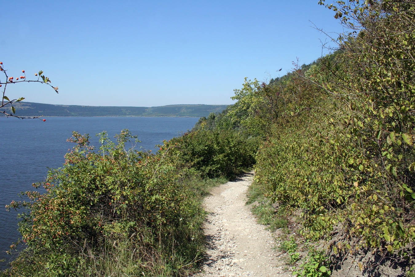 Бакотский залив, image of landscape/habitat.