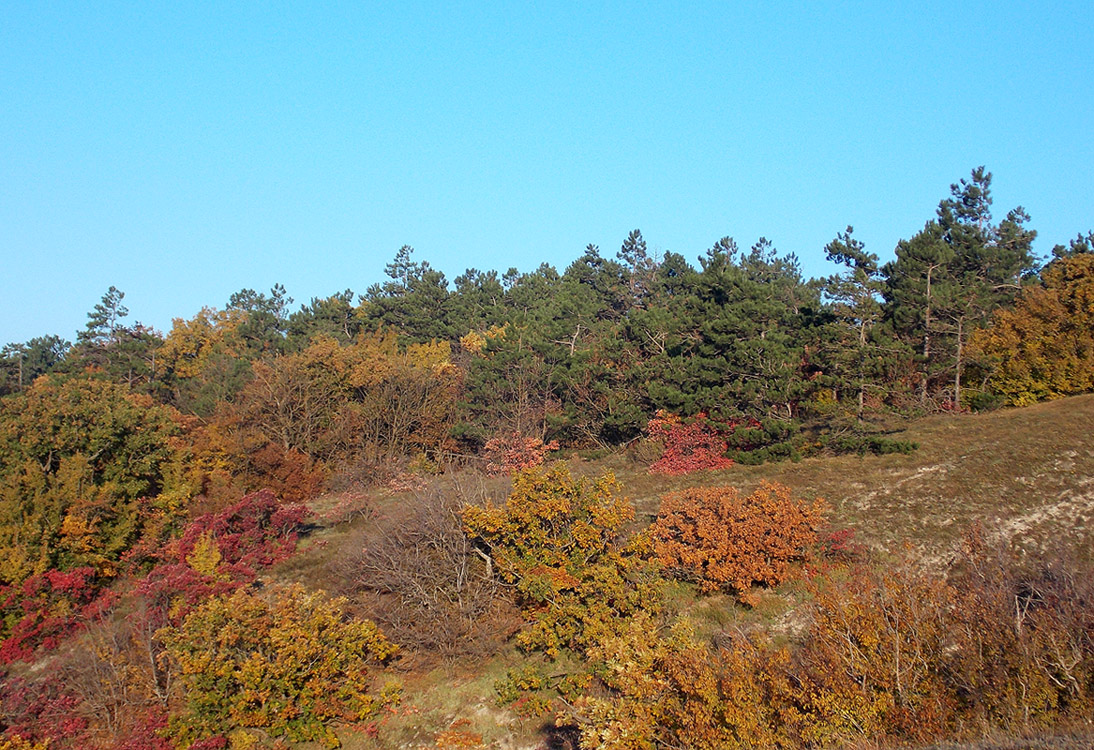 Отхребтье Маркотха, image of landscape/habitat.