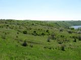 Грушевцы, image of landscape/habitat.