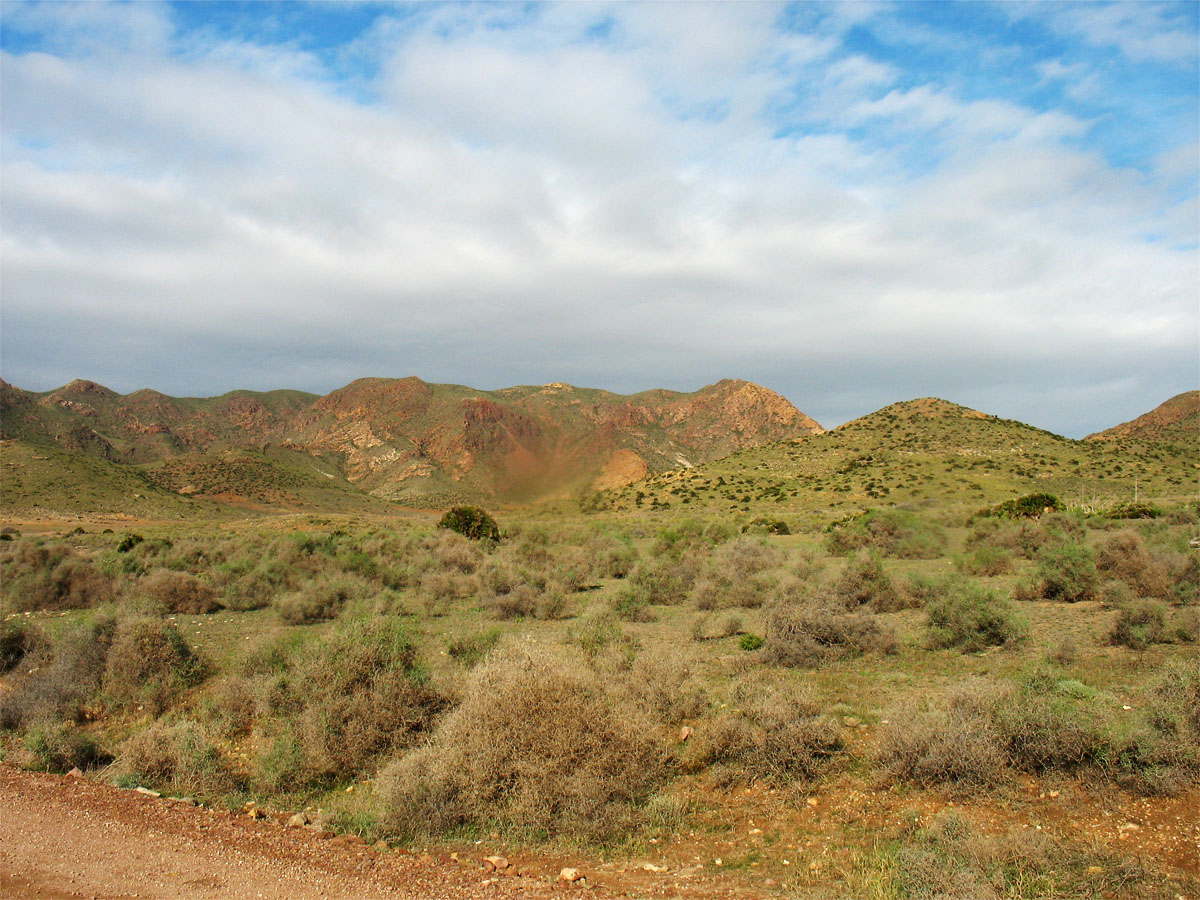 Cabo de Gata, image of landscape/habitat.