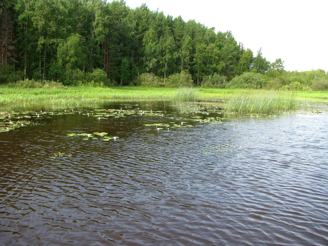 Дарвинский заповедник, image of landscape/habitat.