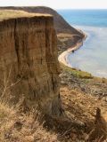 Железный Рог, image of landscape/habitat.