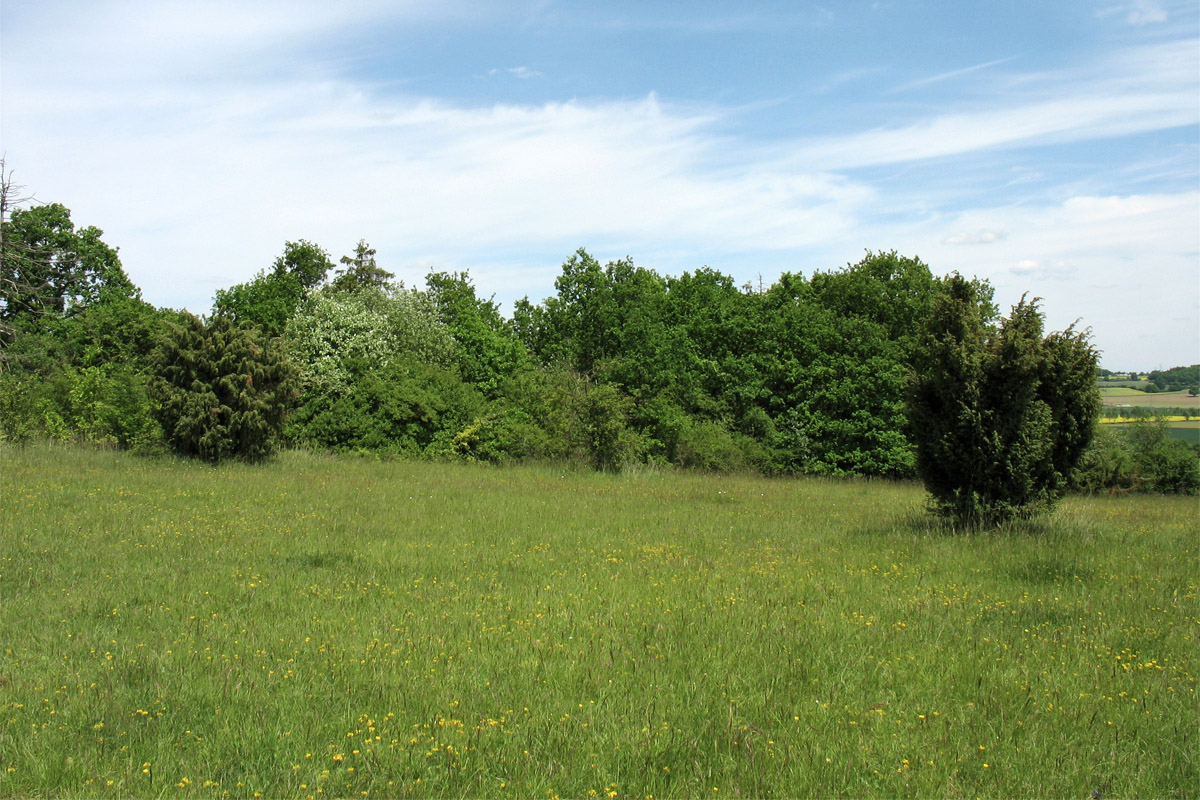 Бад-Мюнстерайфель, image of landscape/habitat.