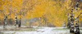 Landscape image
